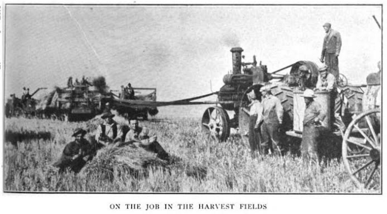 harvest-fields-1-nef-isr-sept-1916