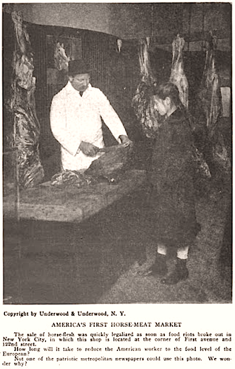 America's Horse Meat, ISR Apr 1917
