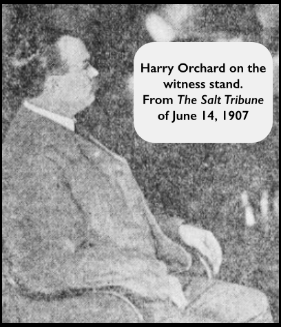 HMP, Harry Orchard on Witness Stand, SLTb, June 14, 1907
