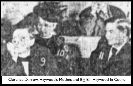 HMP, Haywood's Mother in Crt, NY Binghamton Prs, June 21, 1907