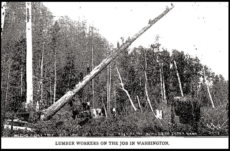 Lumber Workers WA, ISR, Sept 1917