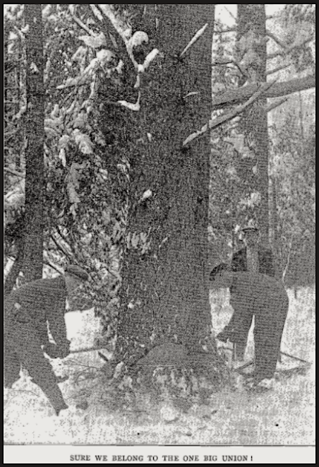 WWIR, IWW Lumber OBU, ISR Jan 1918