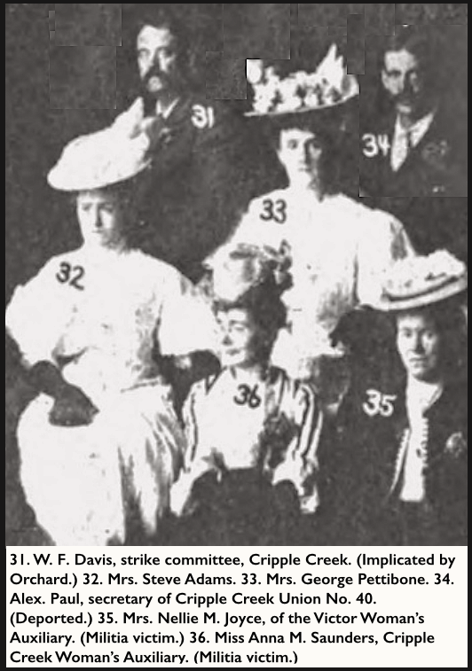 Witnesses Haywood Defense 31-36, Wilshires Aug 1907