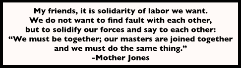 Quote Mother Jones, UMWC, Indianapolis, July 19, 1902