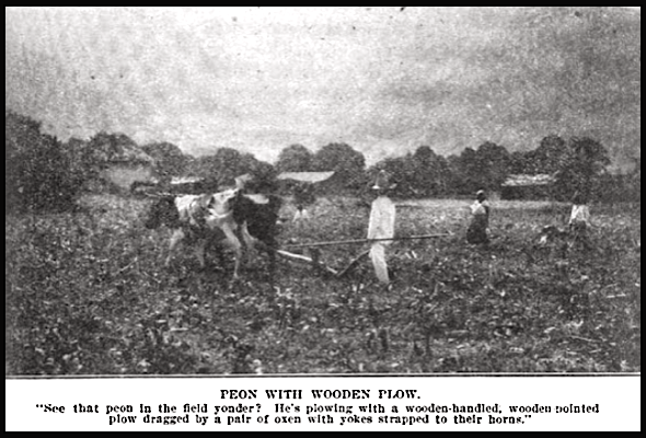 Mex Peonage, Wooden Plow, ISR p645, Mar 1909