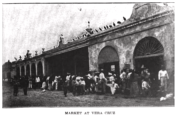 Mex Rev, Diaz Prison by Murray, Market Vera Cruz, ISR p747, ISR Apr 1909