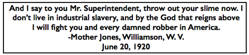 Quote Mother Jones, Every Damned Robber, Wmsn WV, June 20, 1920, Speeches Steel p222