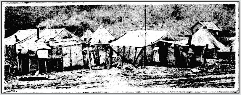 Mingo Co WV, Red Jacket Tent Colony, WDC Tx p12, Dec 12, 1920