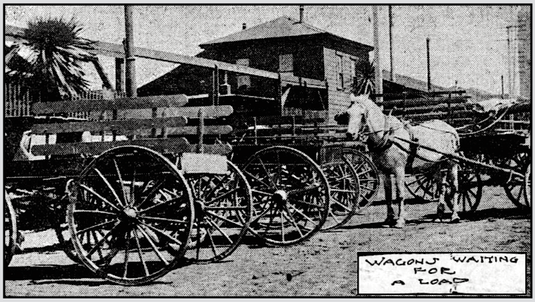 SF Teamsters Strike ag Draymens Ass, Wagons, SF Call p3, July 23, 1901