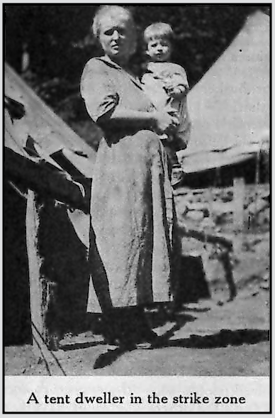 WV Mingo Tent Dweller, Survey p177, Oct 29, 1921