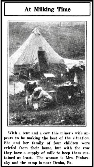 UMW Strike SW PA, Tent Denbo Miners Wife Milks Cow, UMWJ p16, Dec 15, 1922