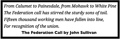 Quote Federation Call by John Sullivan, Mnrs Bltn 1913 1914, MI Copper Strike