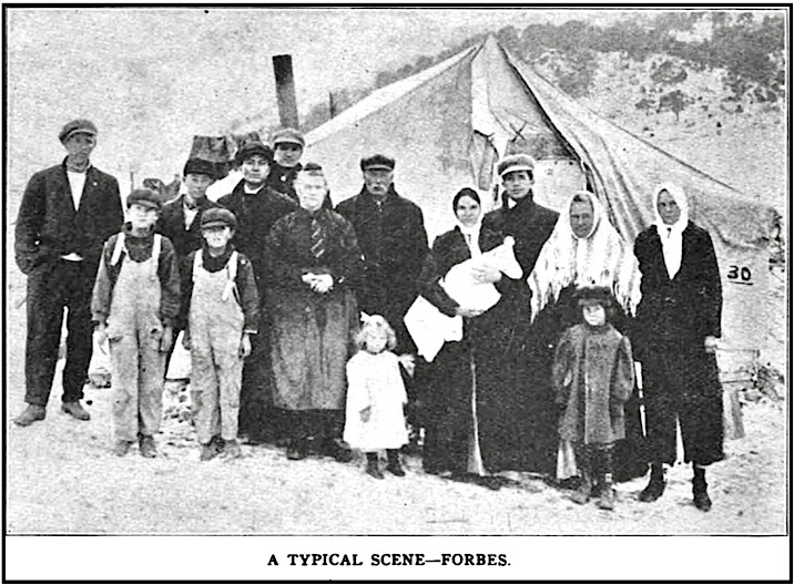 Women and Children at Forbes Tent Colony, ISR p712, June 1914