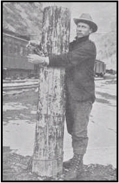 Henry Maki WFM Telluride, Chained to Pole Mar 2, 1904