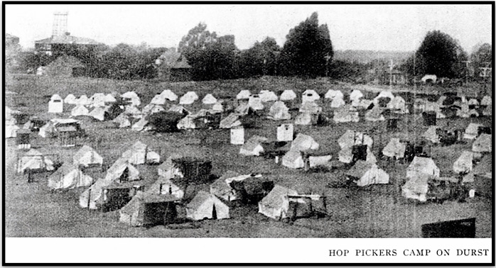 Hop Pickers Camp on Durst Ranch, Wheatland CA, ISR p342, Dec 1914